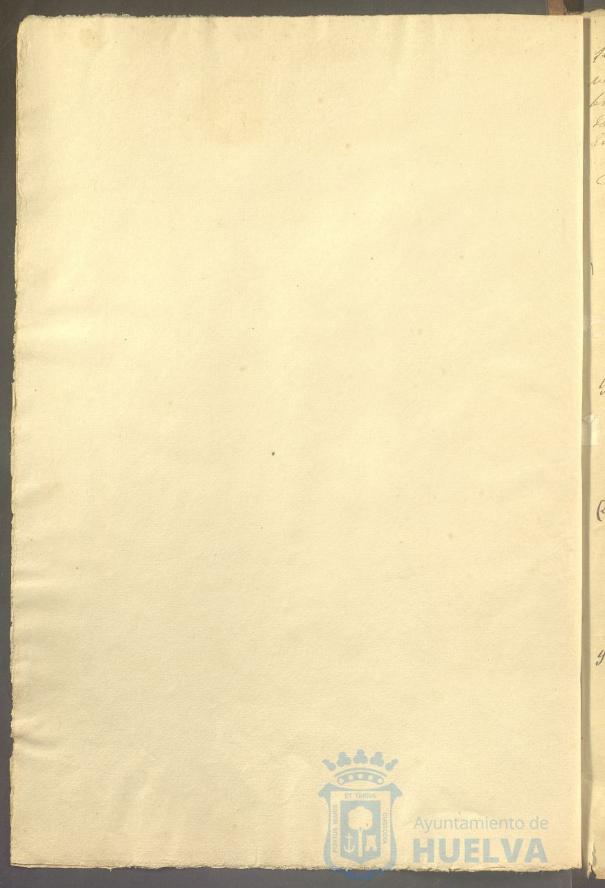 * Image 7