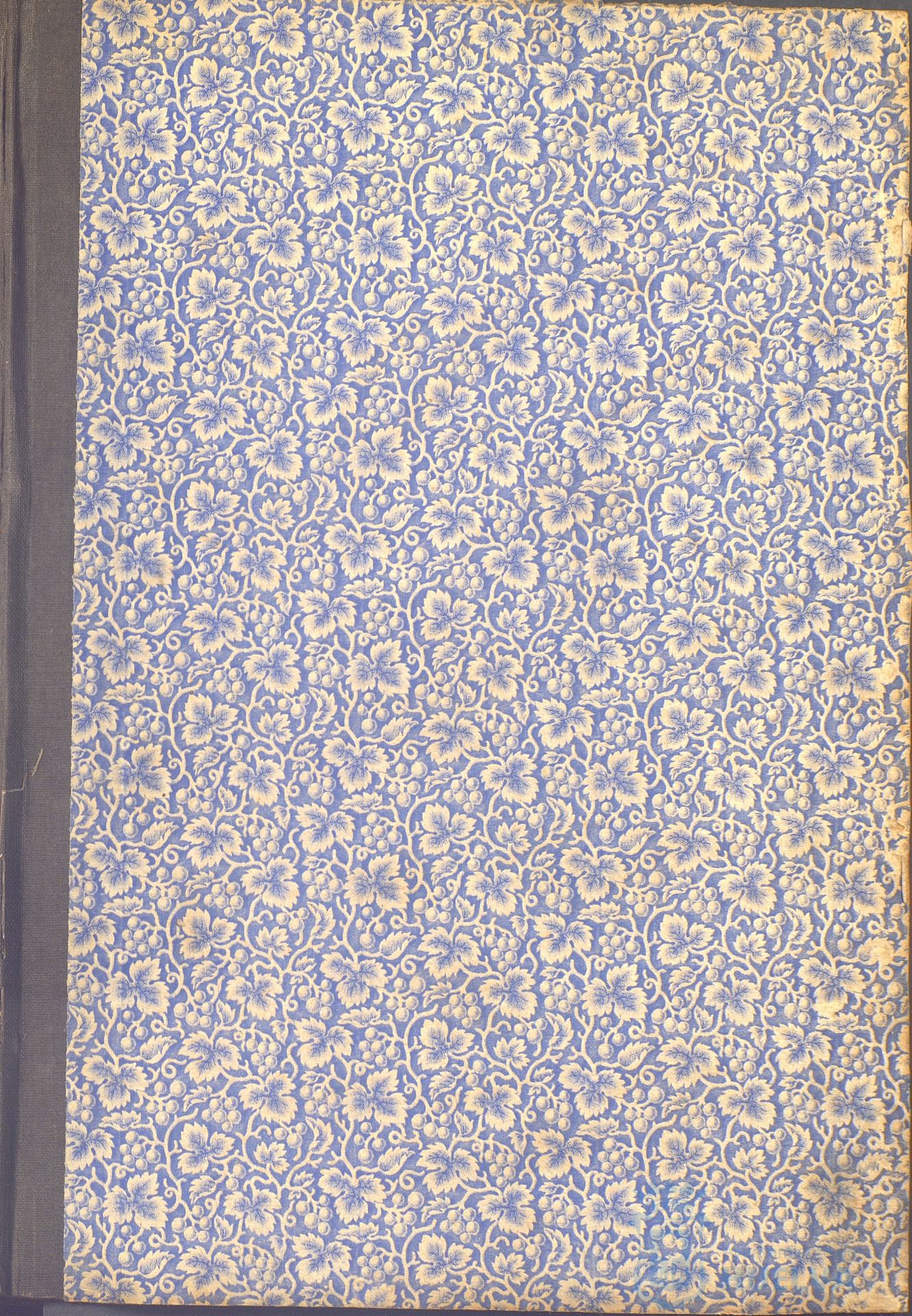 * Image 4