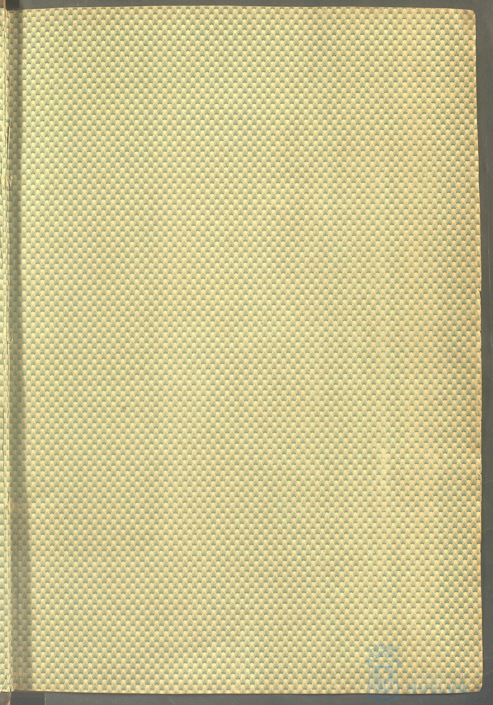 * Image 4