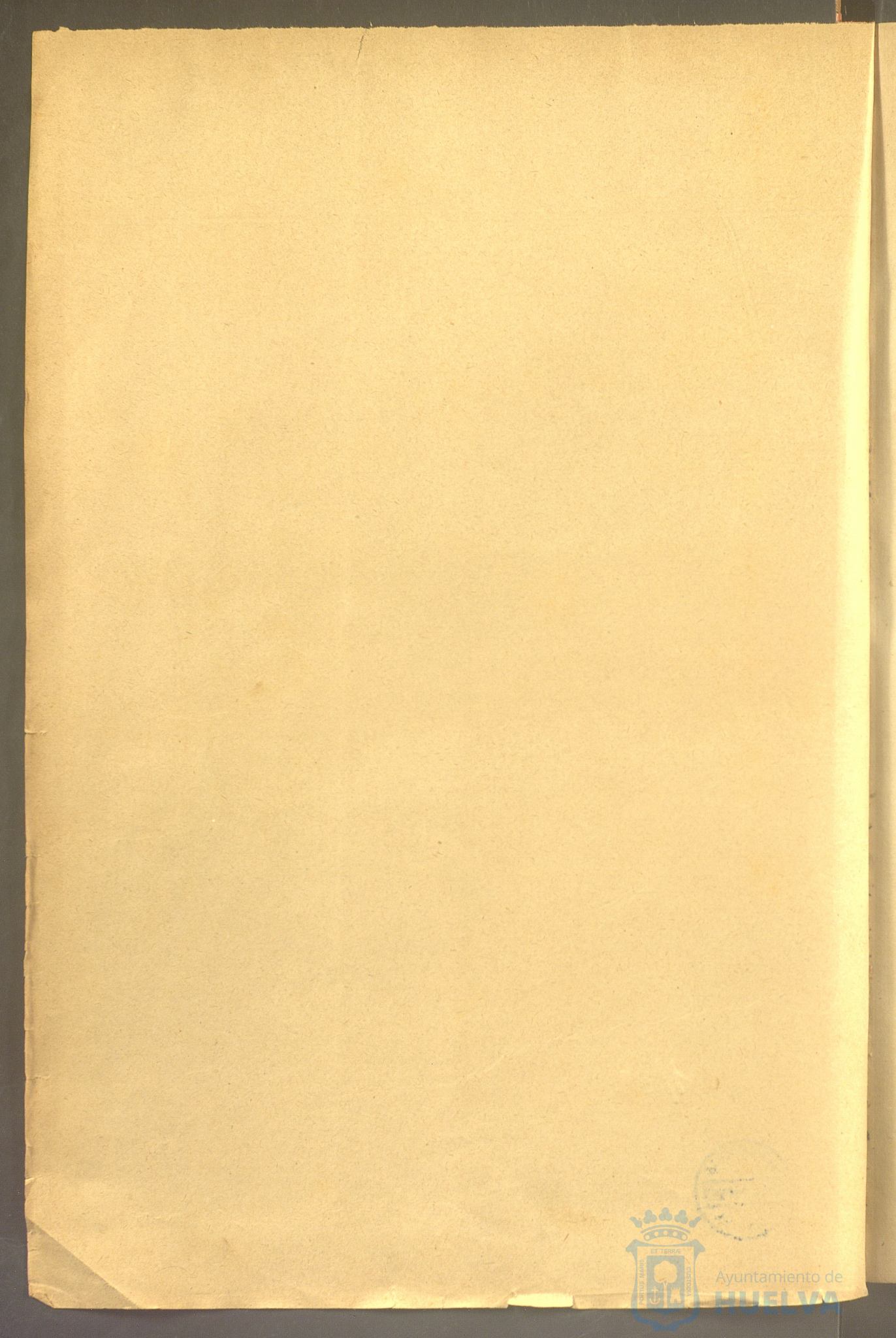 * Image 7