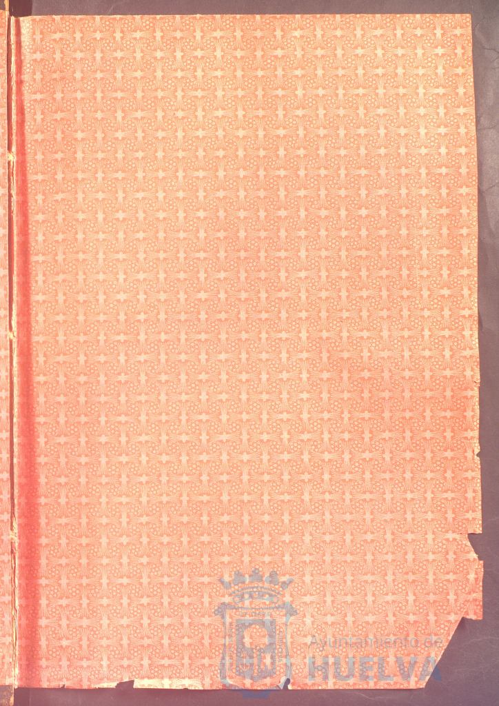 * Image 4