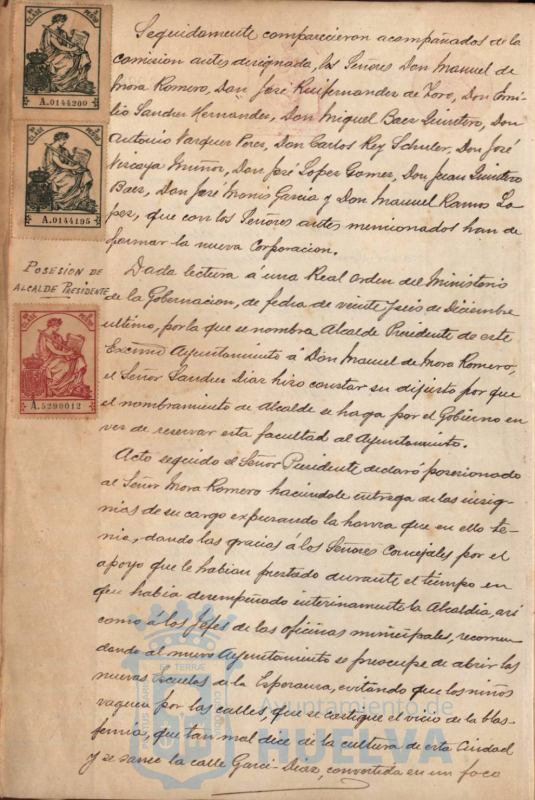 * Image 4