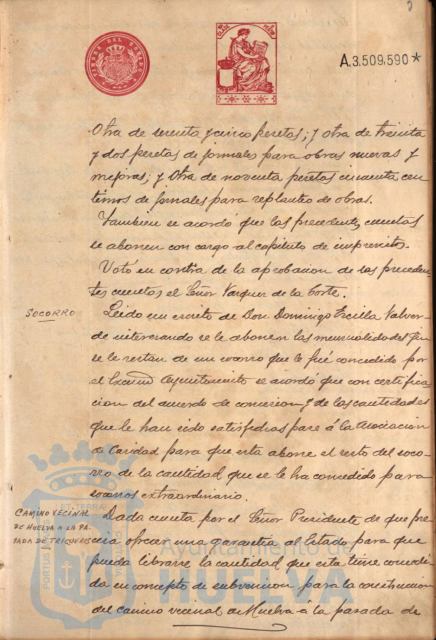 * Image 7