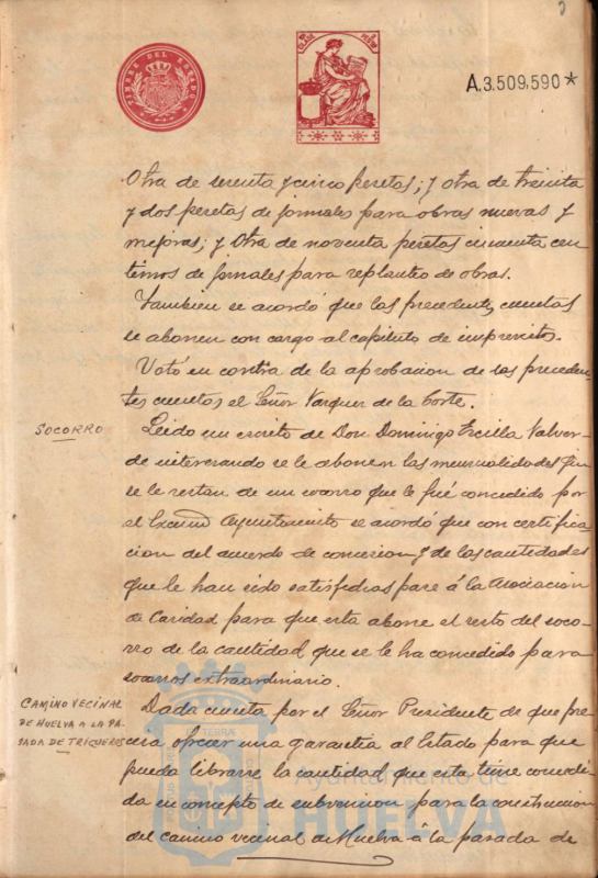 * Image 7