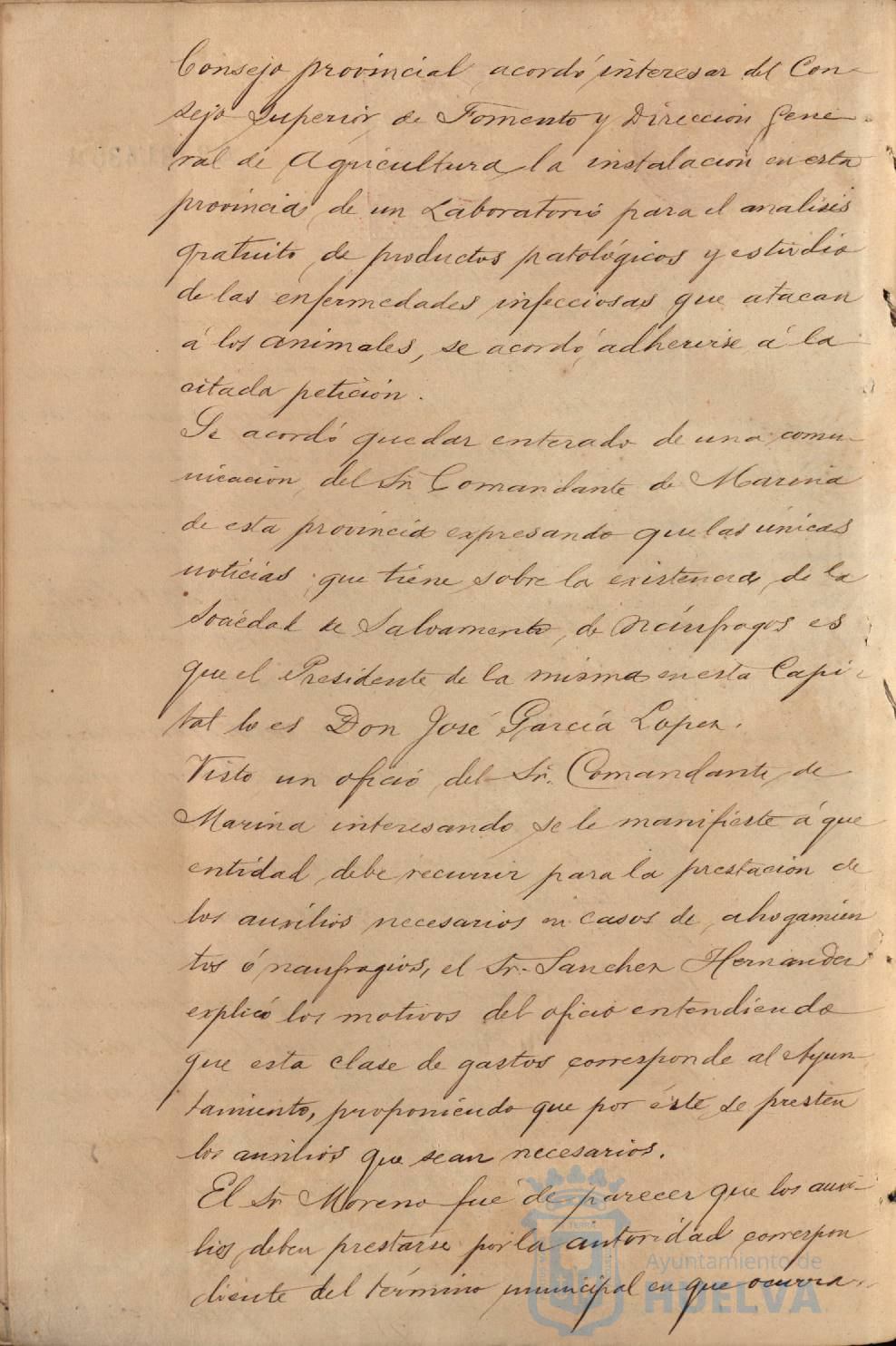* Image 195