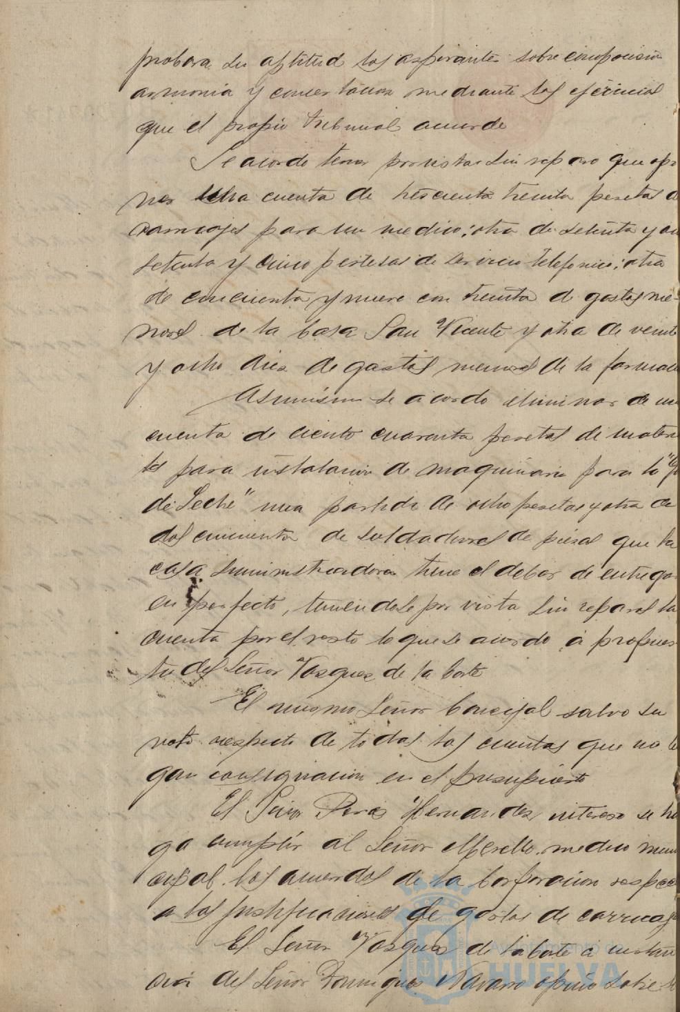 * Image 19