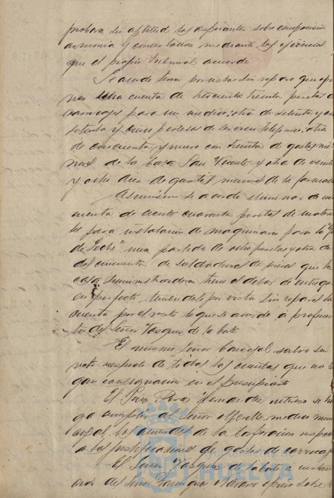 * Image 19