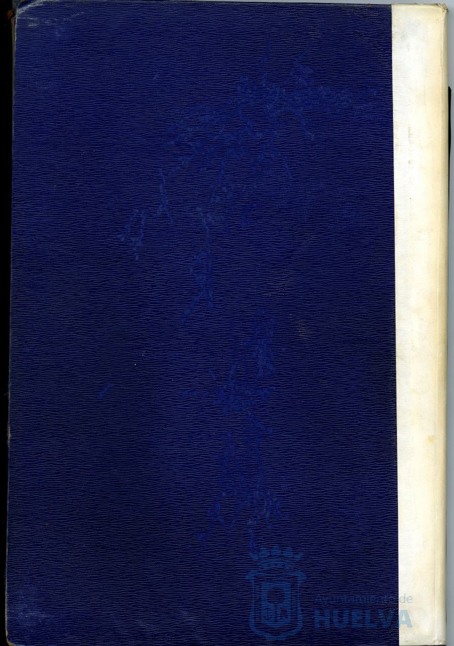 * Image 207