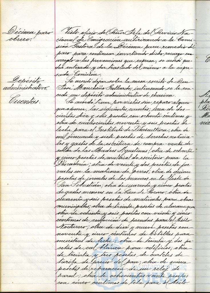 * Image 12