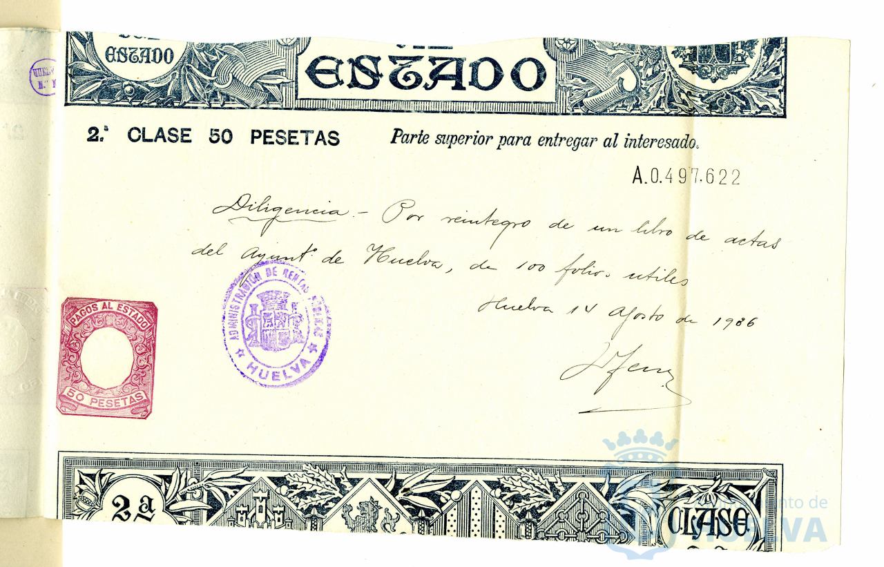 * Image 4