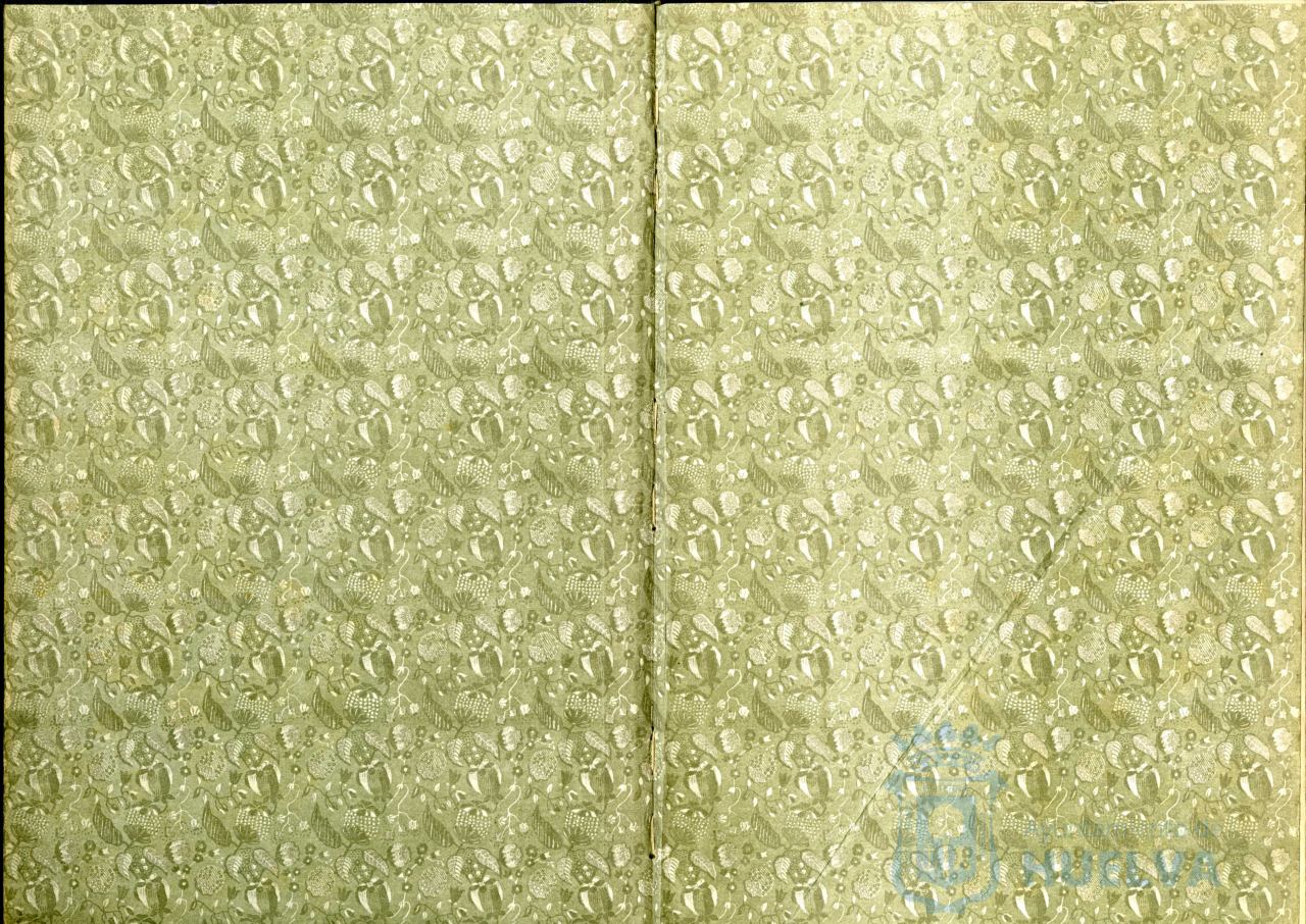 * Image 2