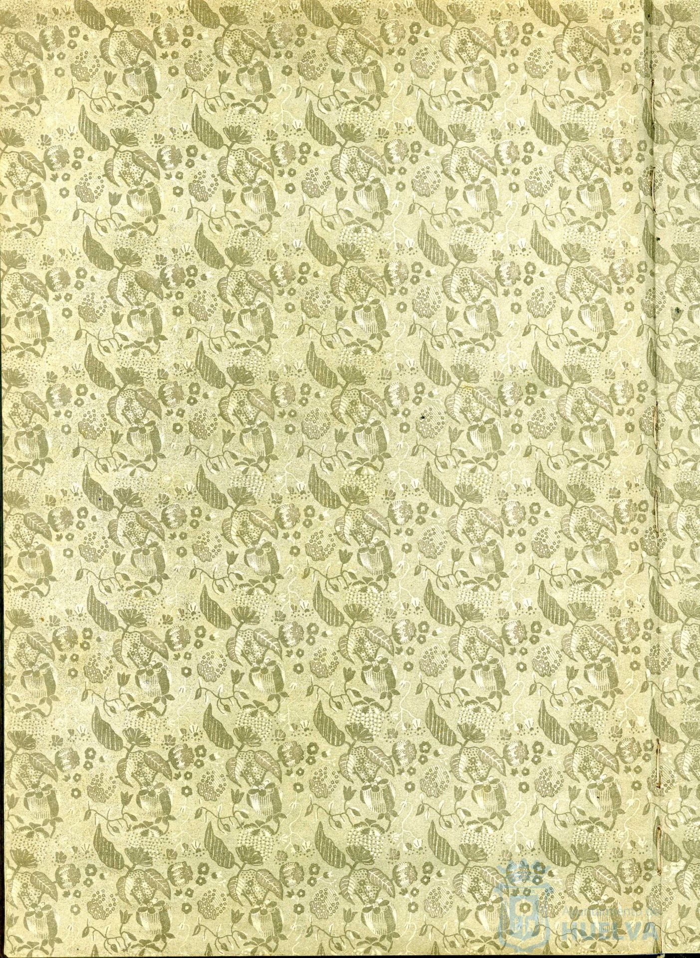 * Image 305