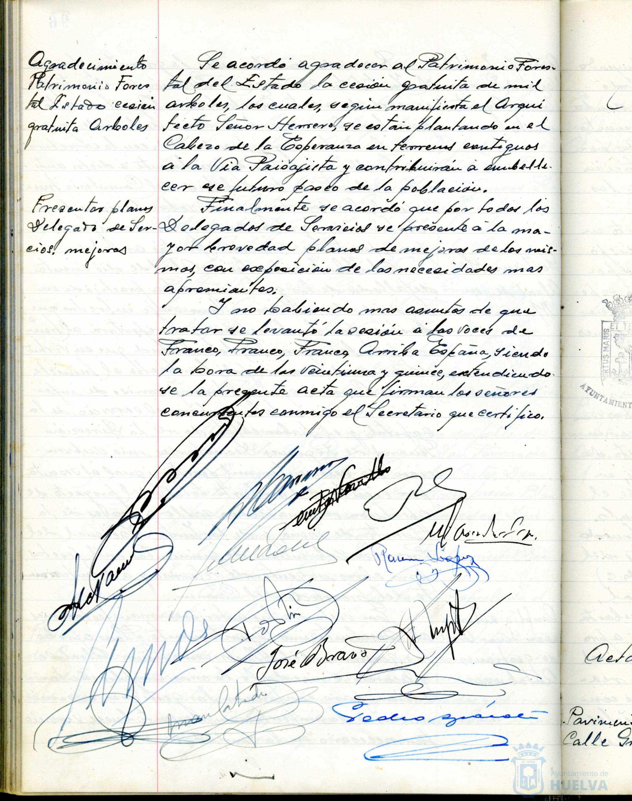 * Image 195