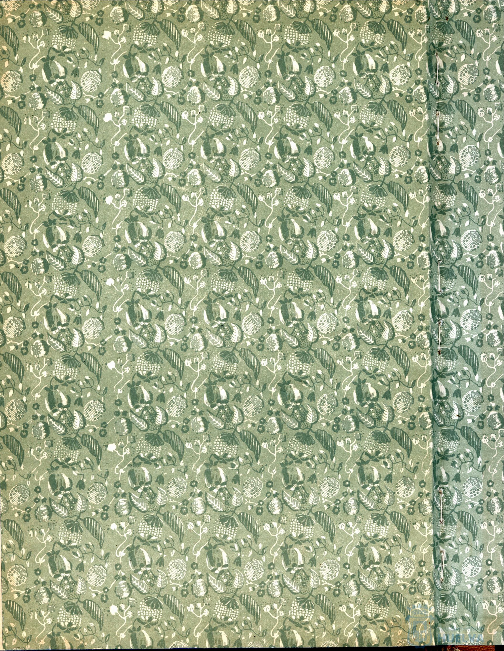 * Image 408