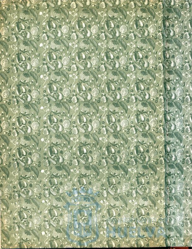 * Image 408
