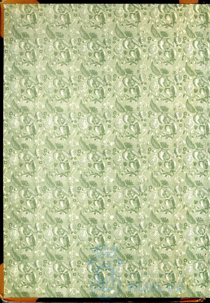 * Image 2