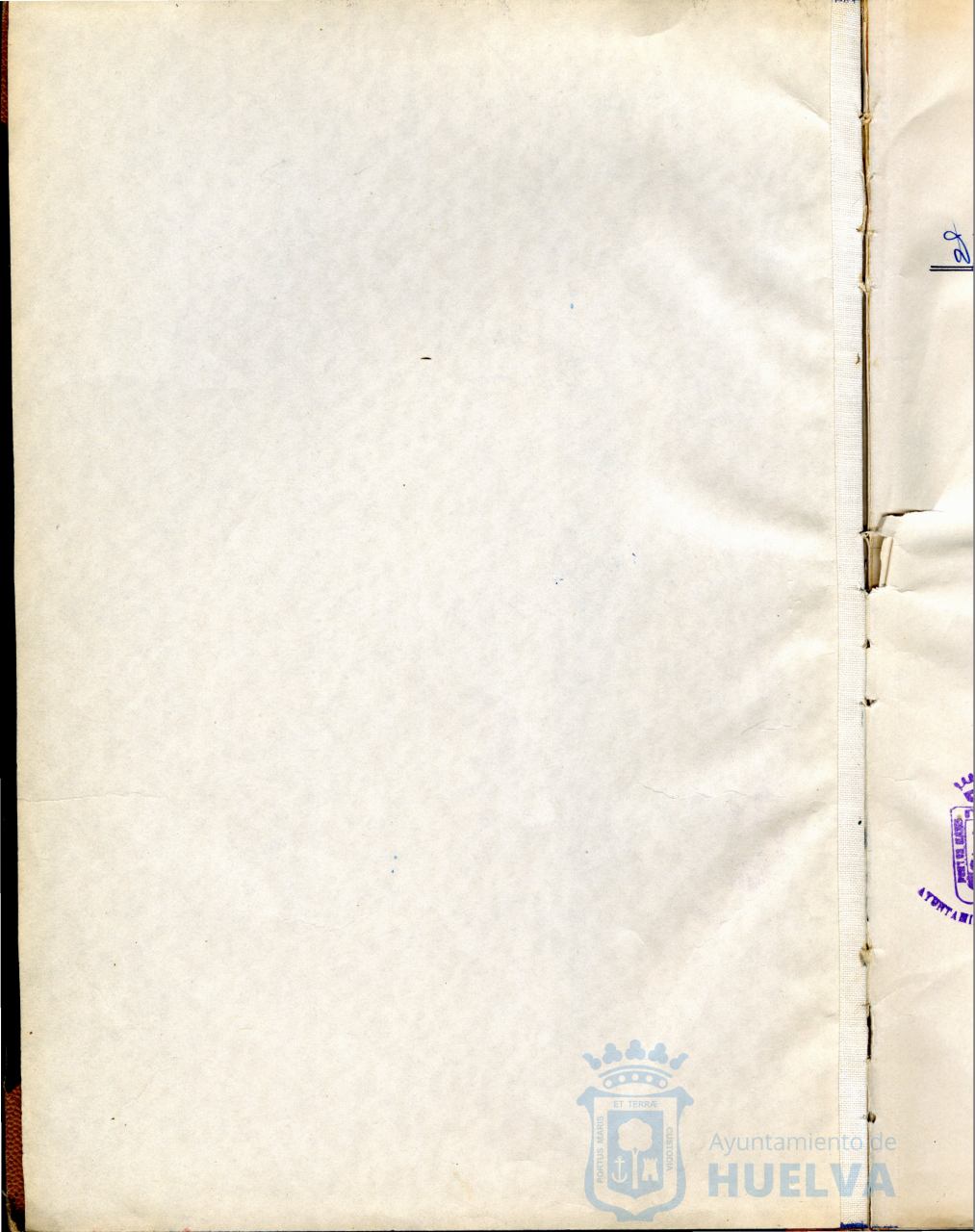 * Image 4
