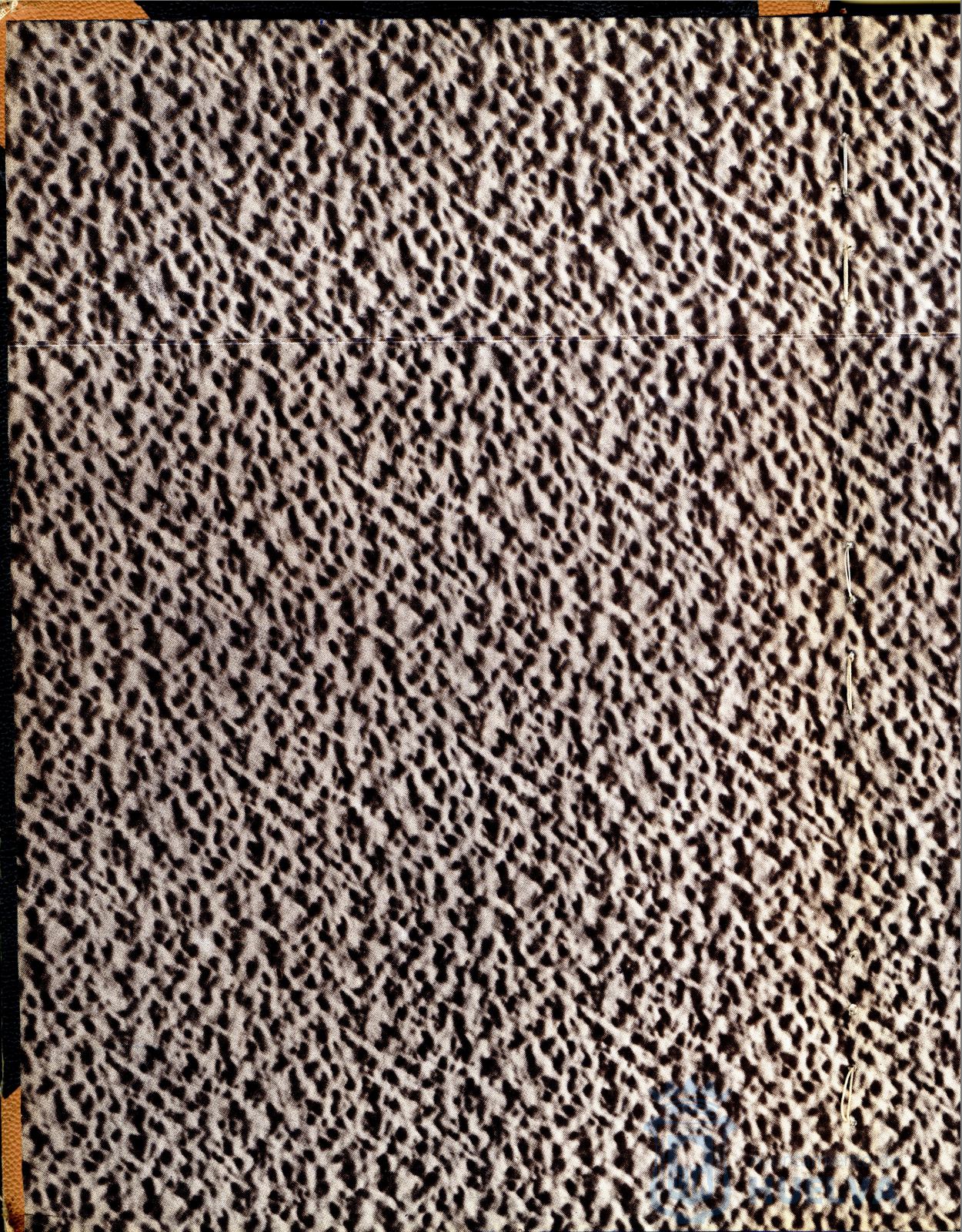 * Image 2