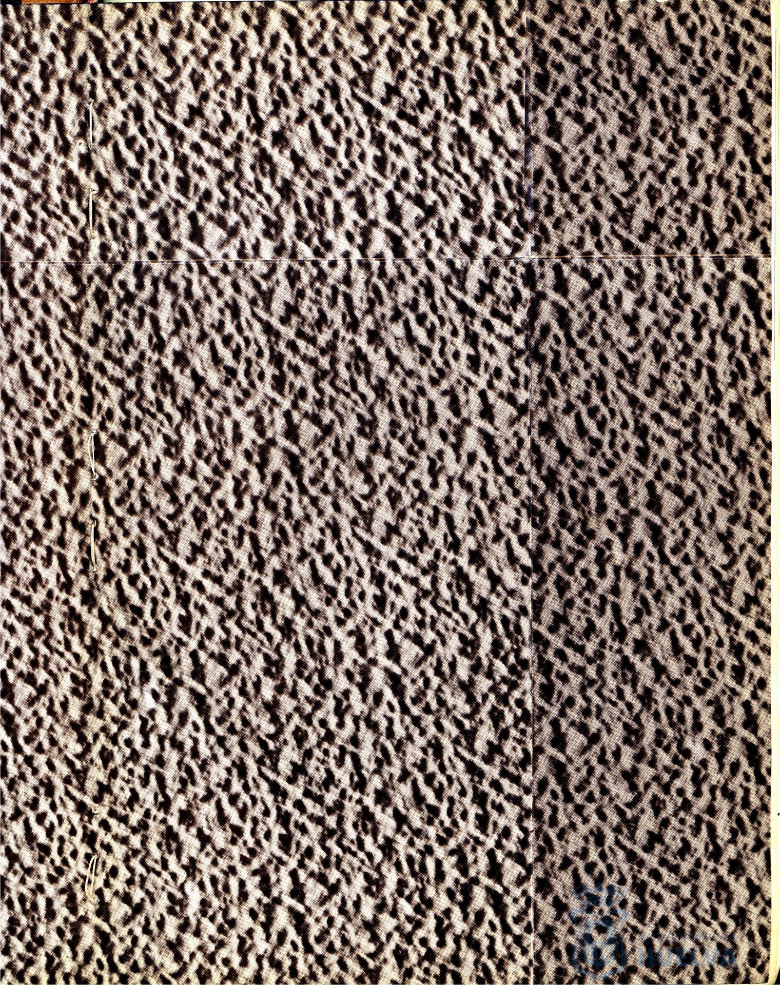 * Image 3
