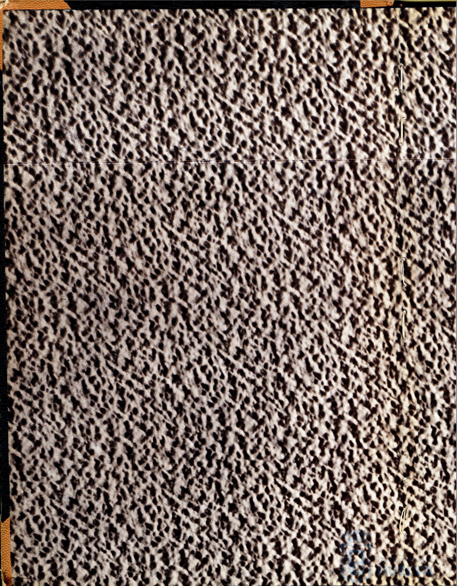 * Image 2
