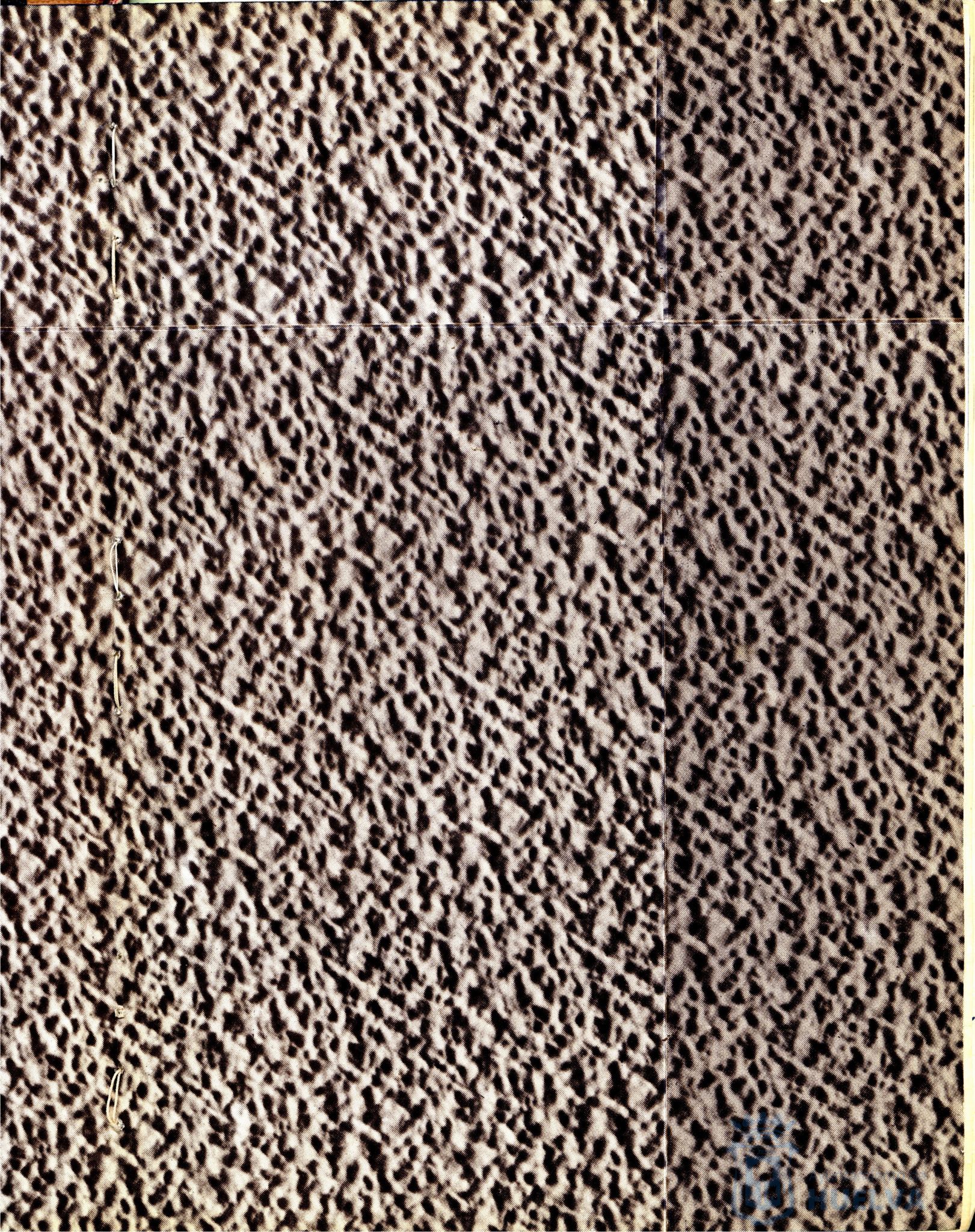 * Image 3
