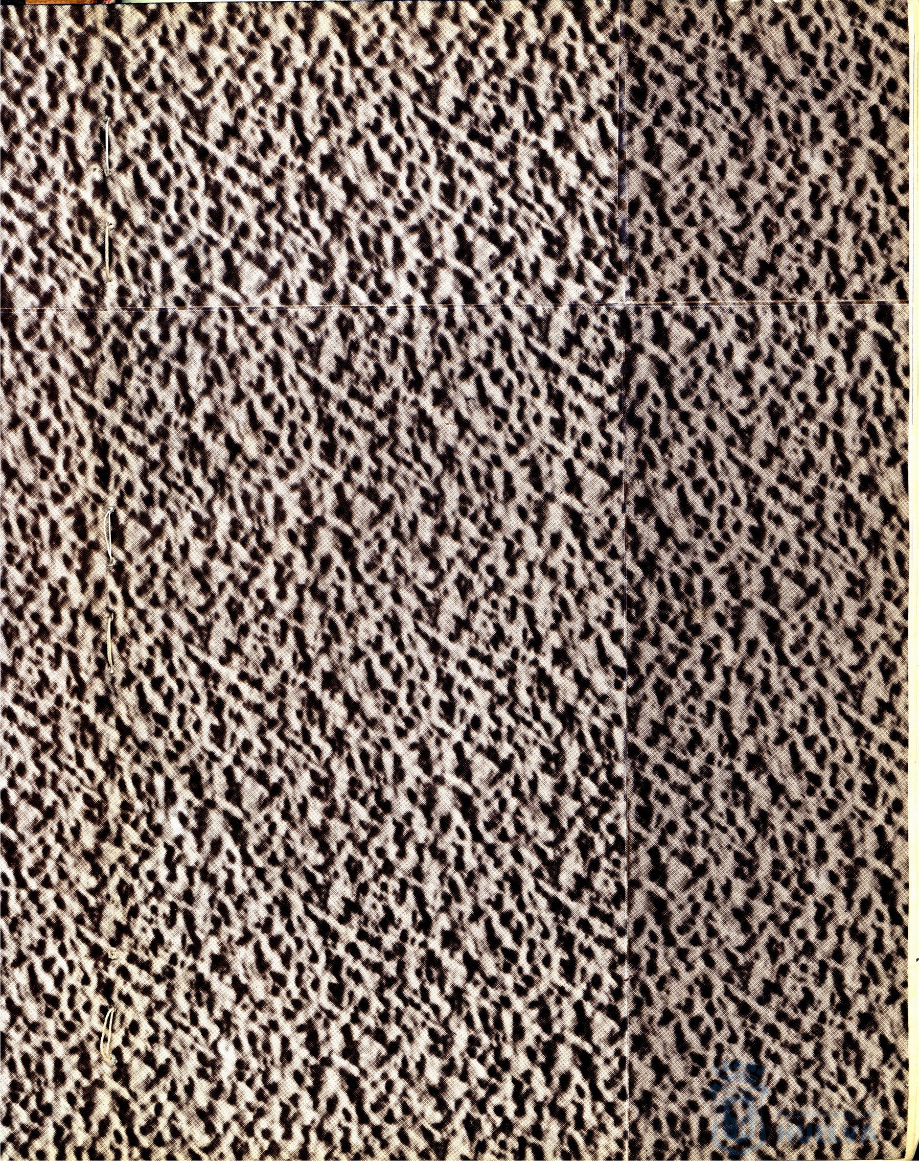 * Image 3