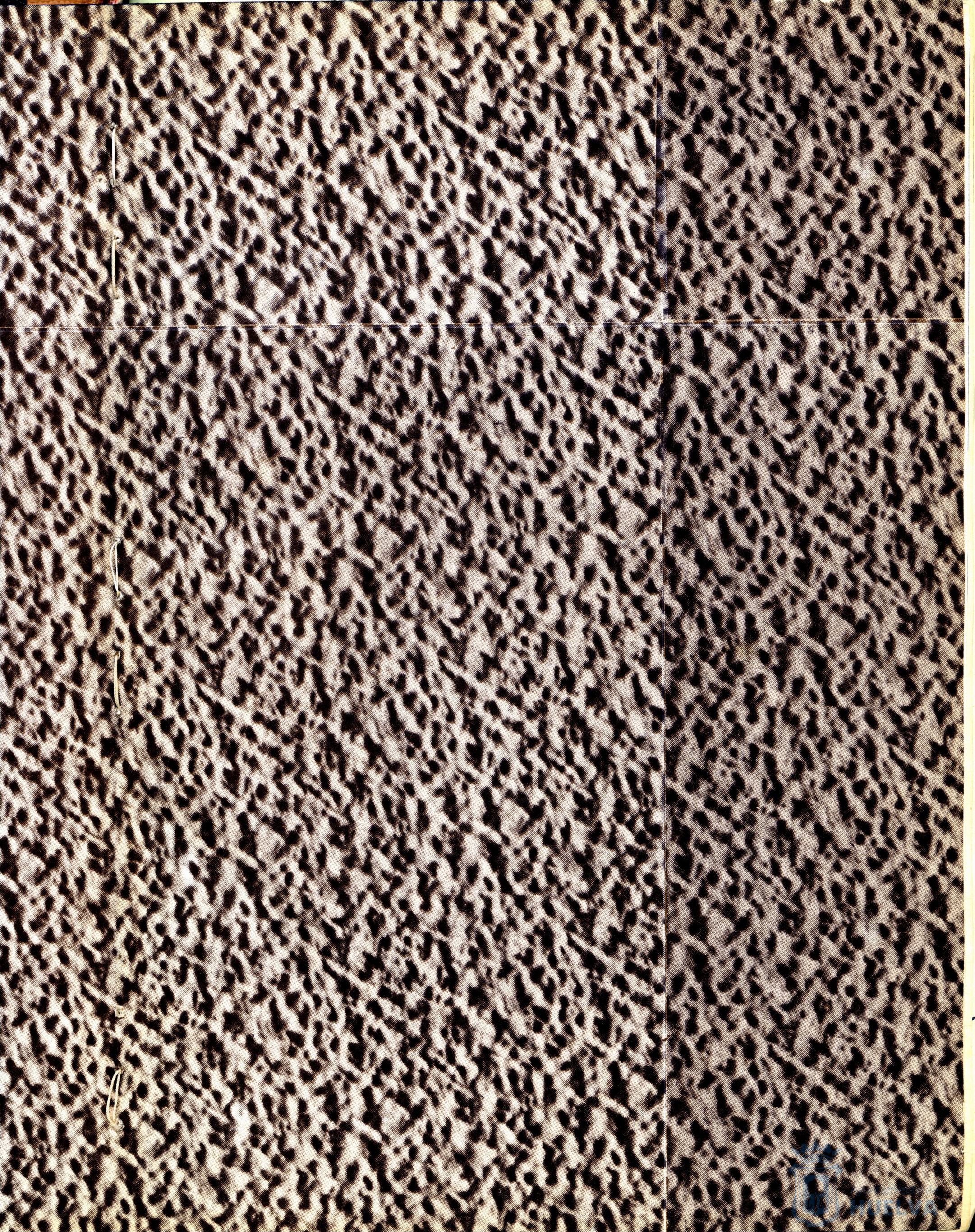 * Image 3