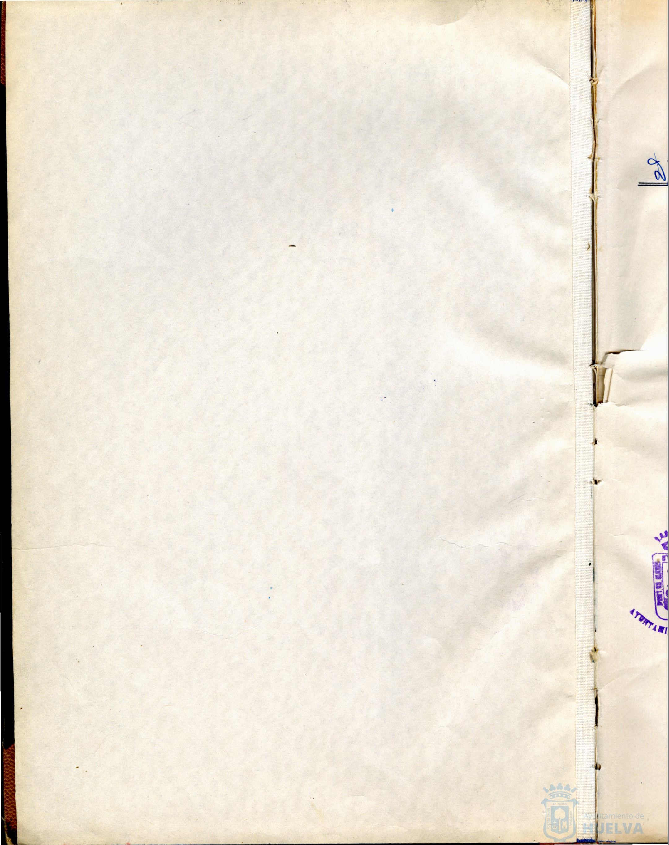 * Image 4