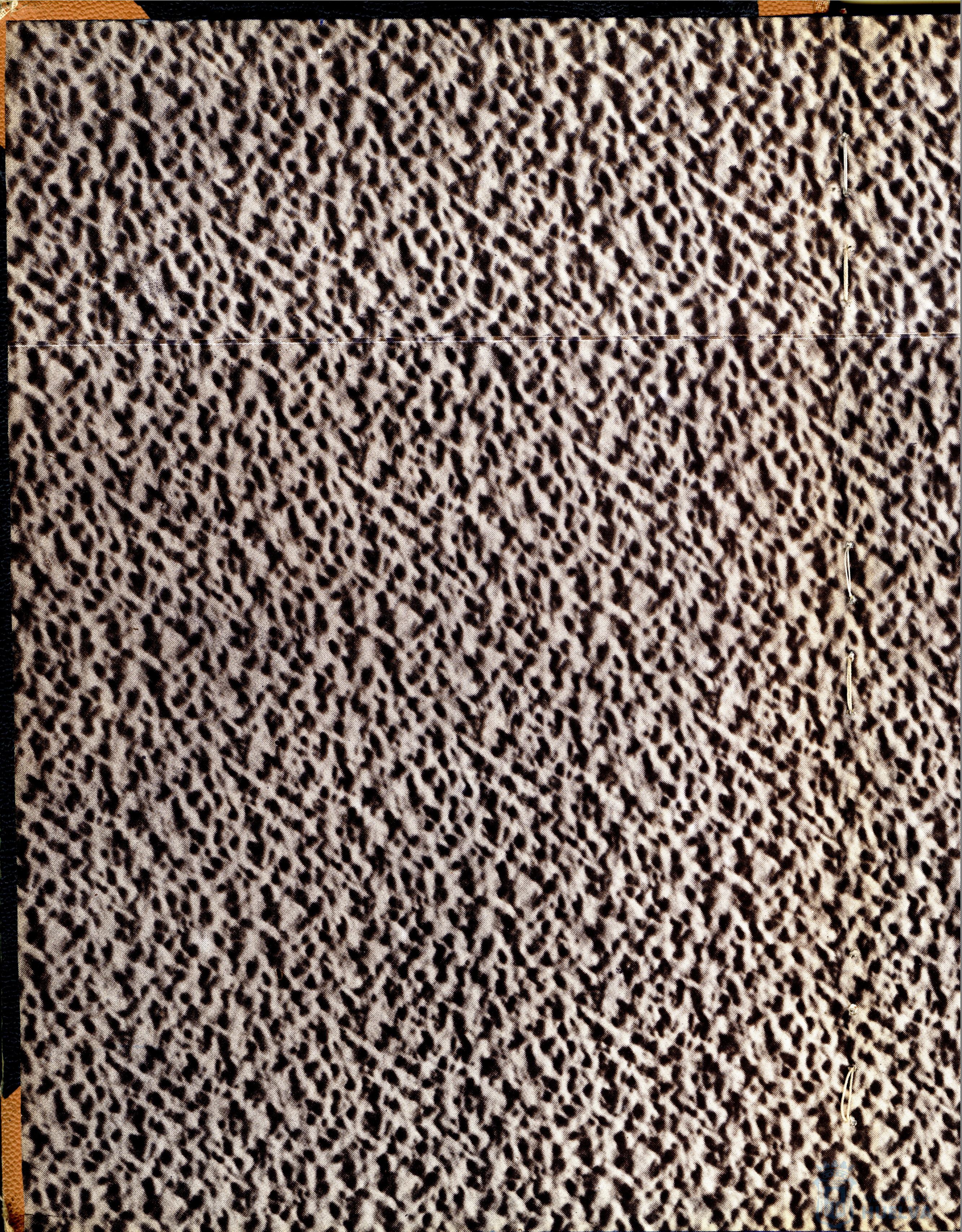 * Image 2