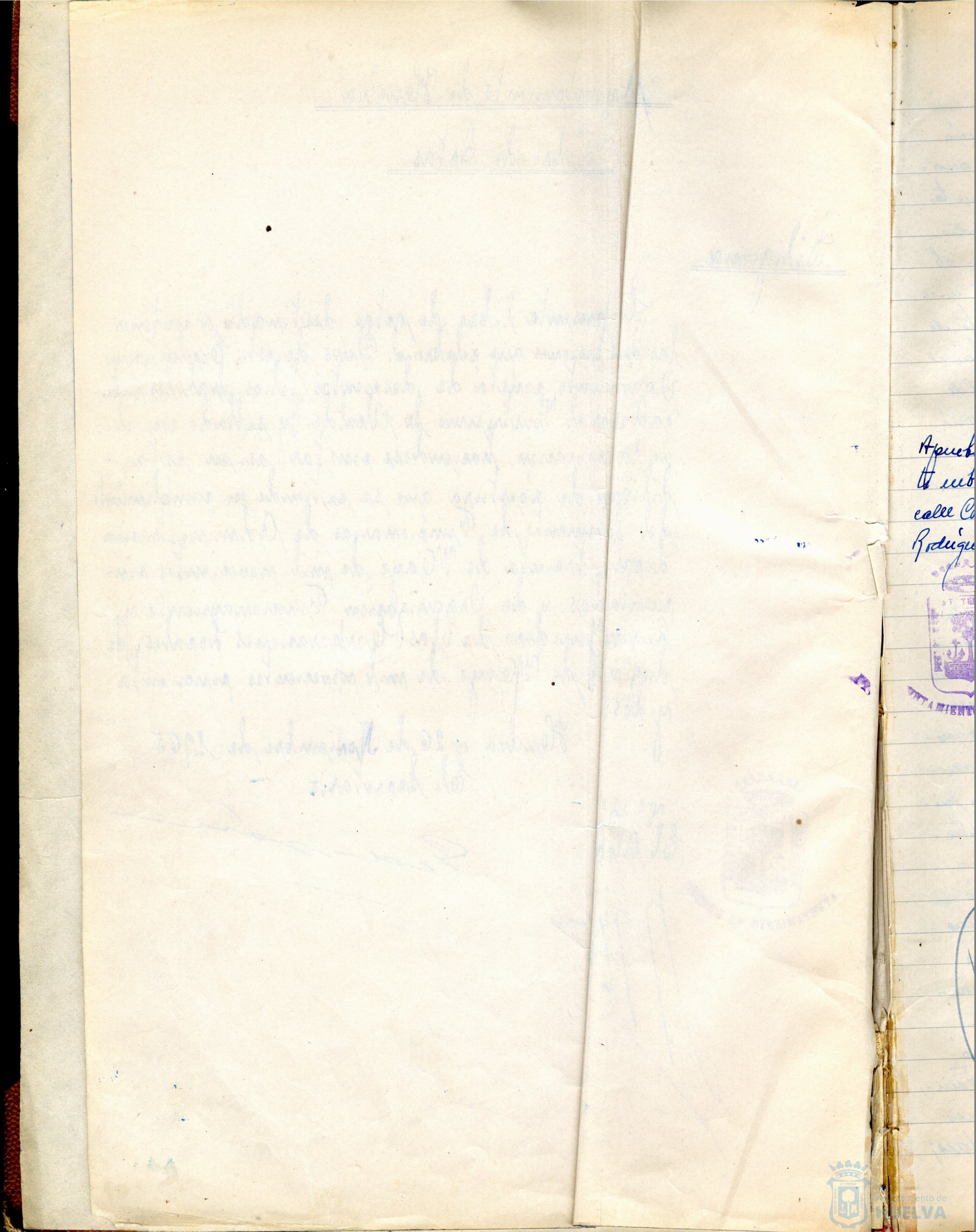 * Image 6