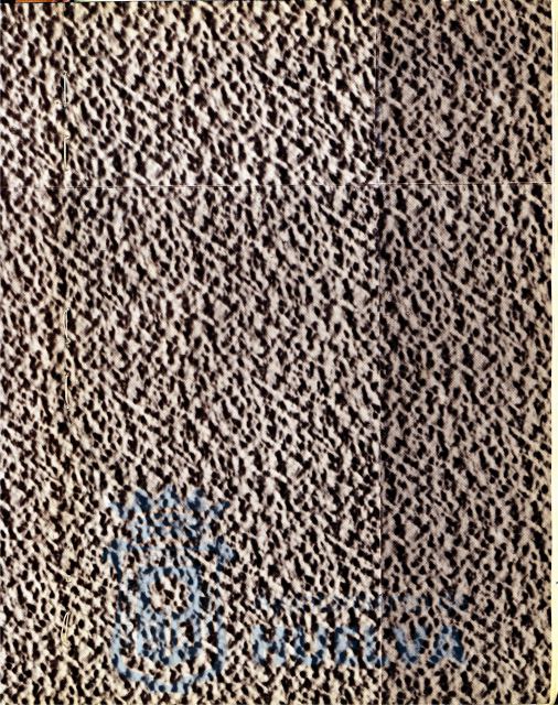 * Image 3