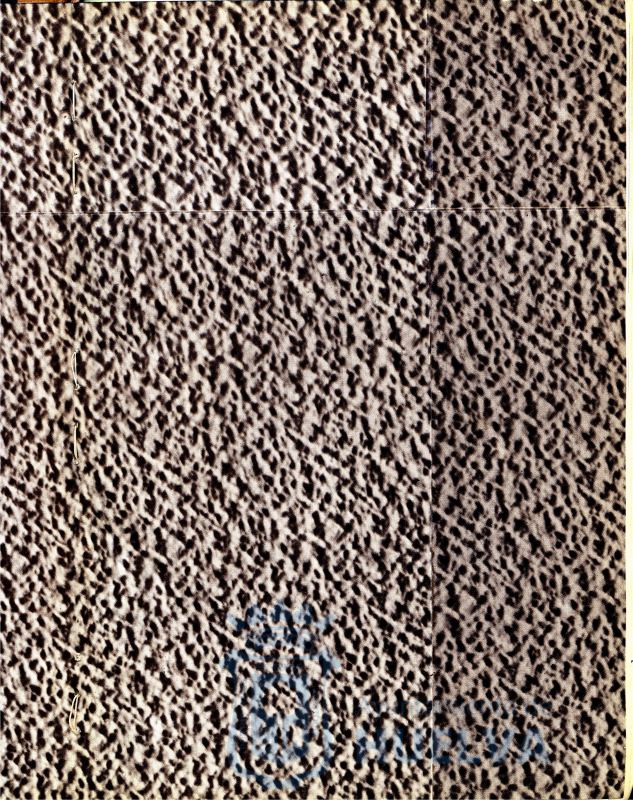* Image 3