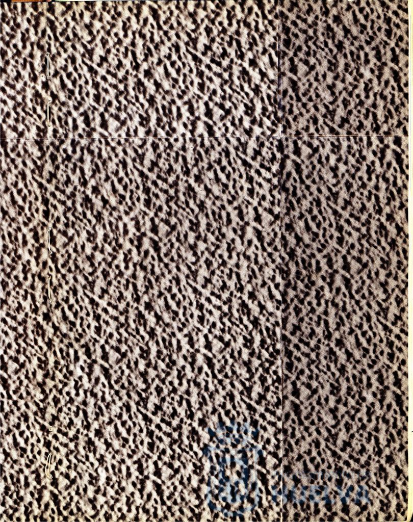 * Image 3