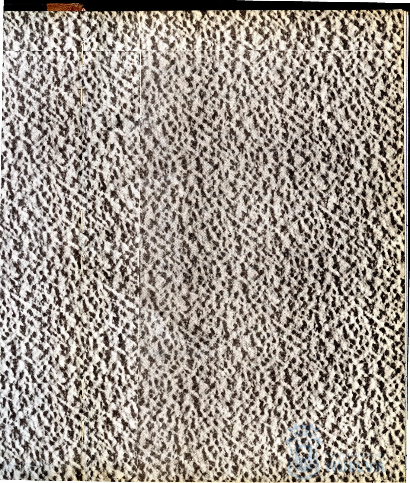 * Image 3