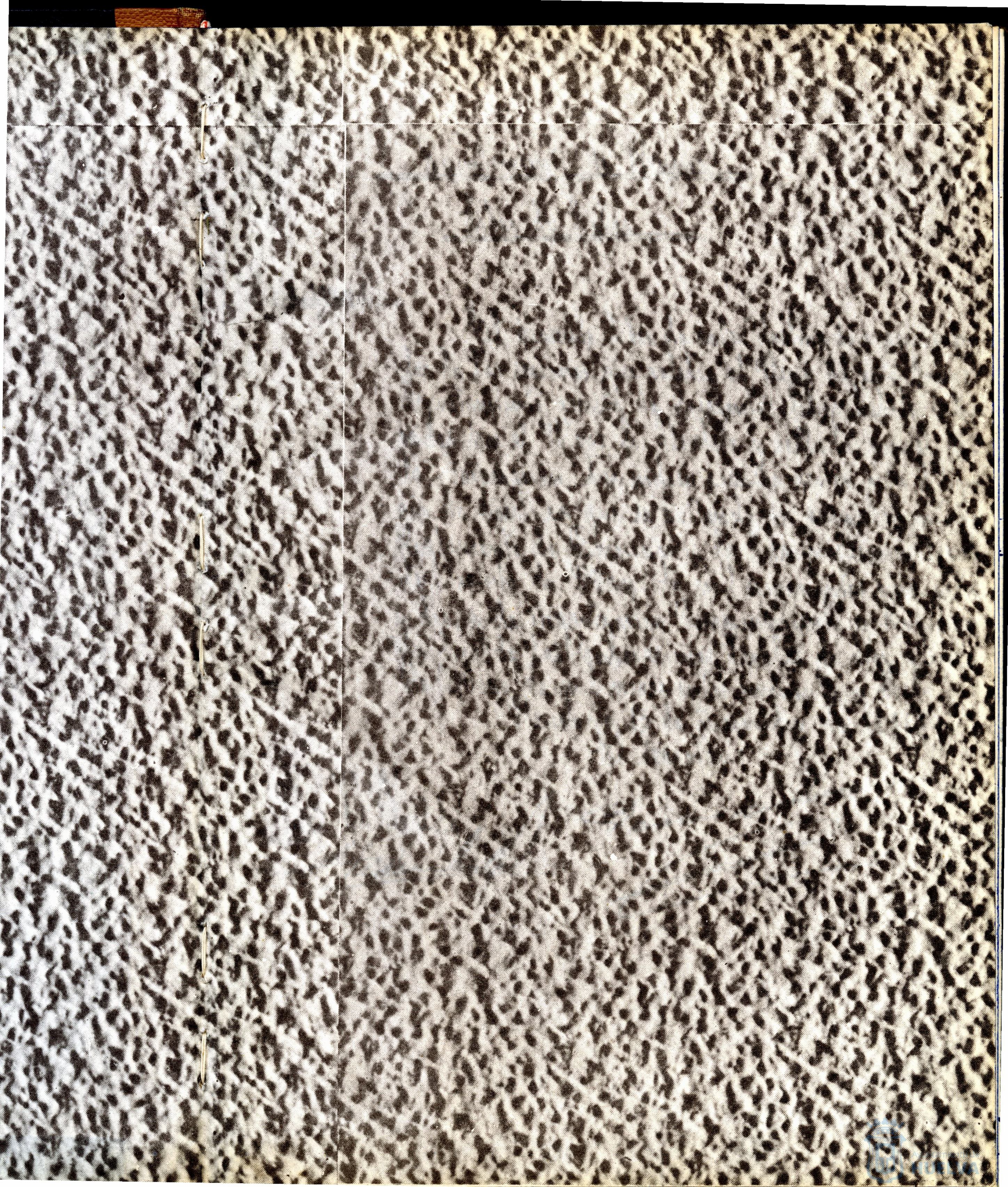 * Image 3