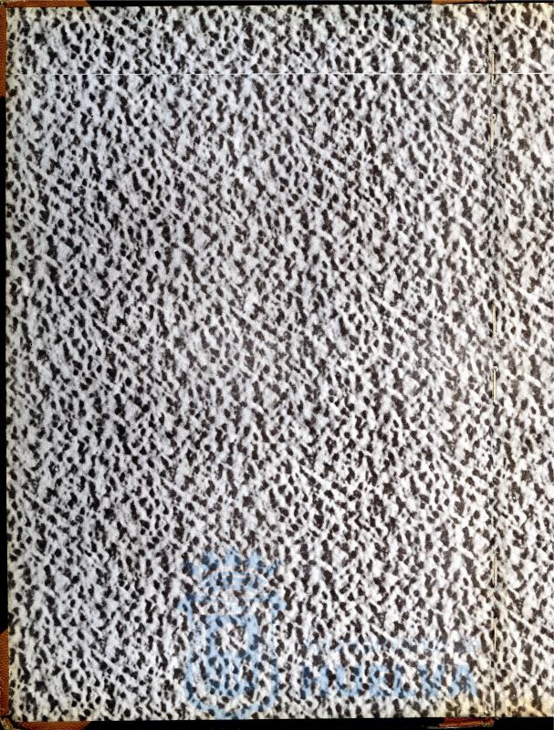 * Image 2