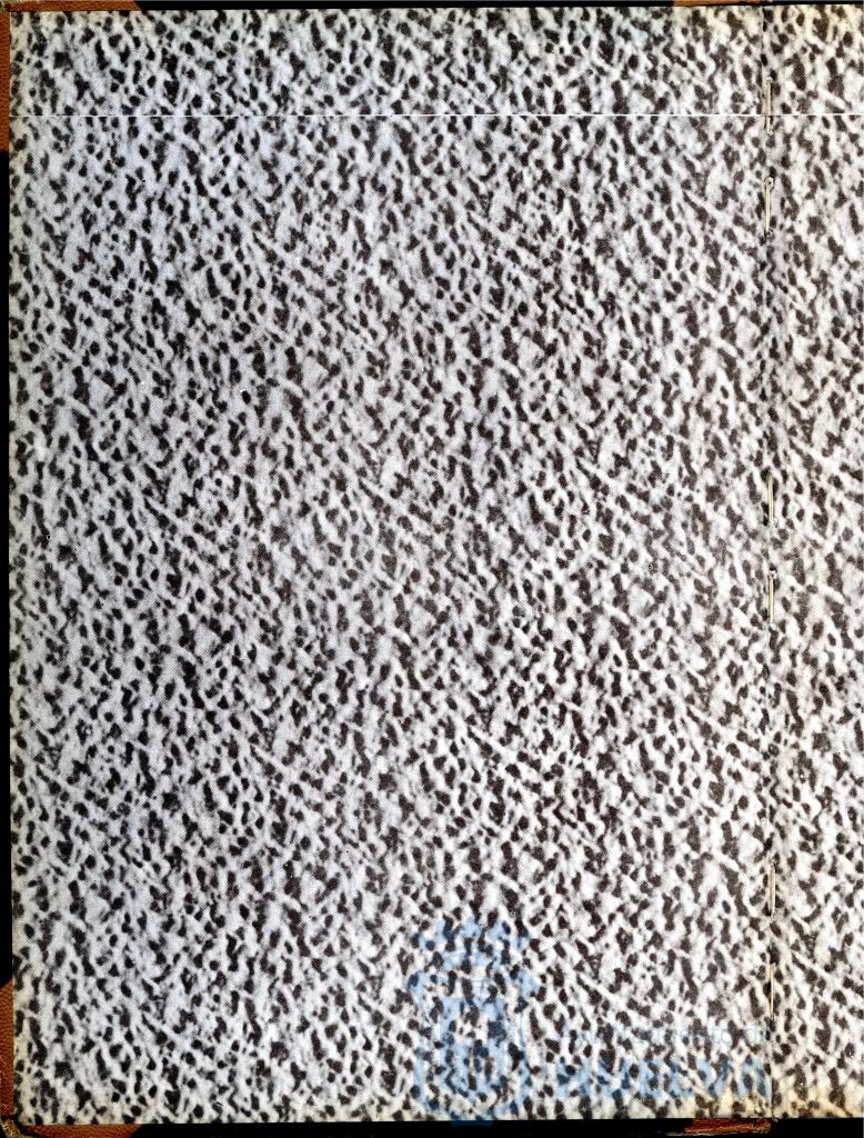 * Image 2