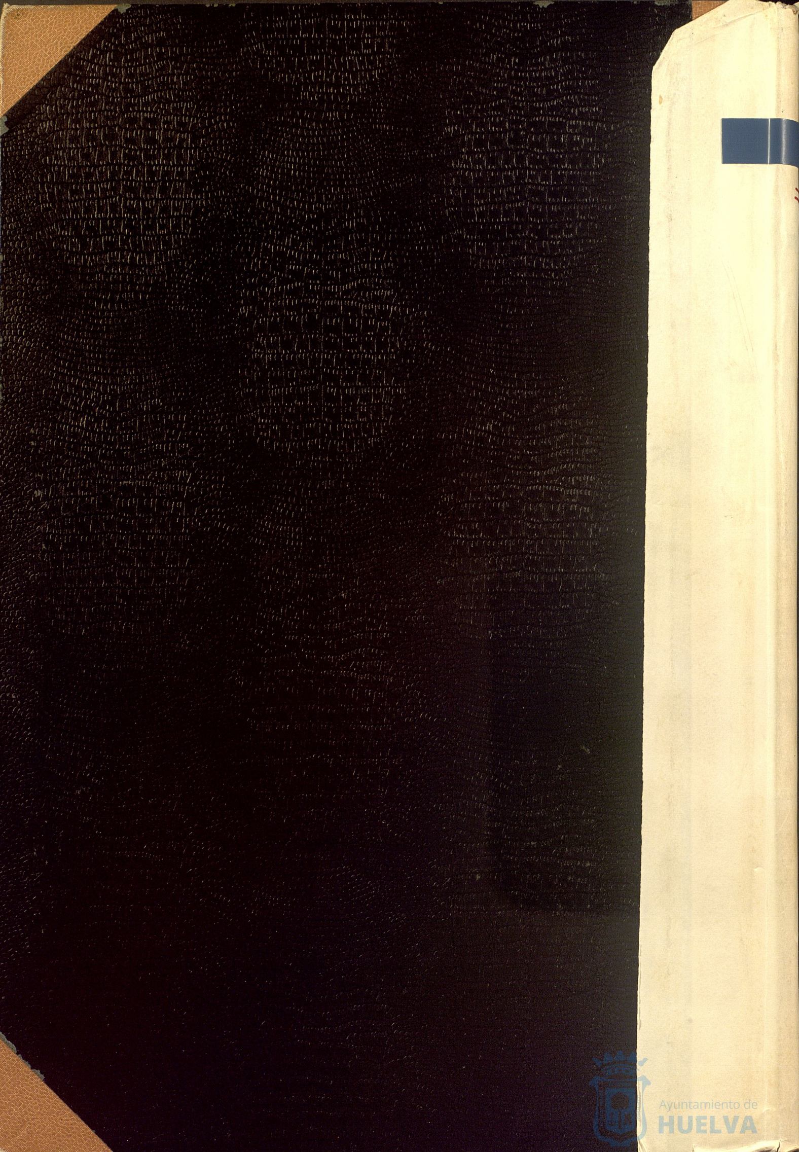 * Image 2