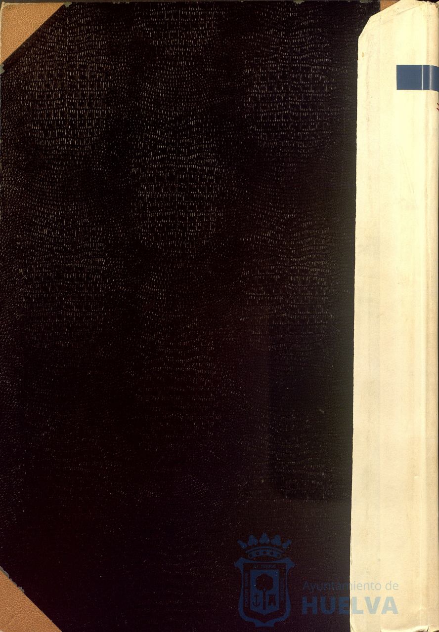 * Image 2