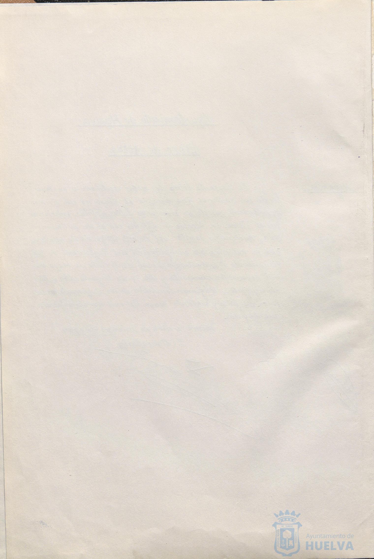 * Image 7