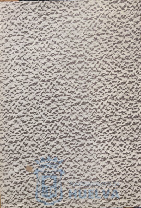 * Image 3