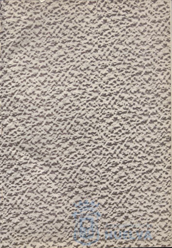 * Image 4