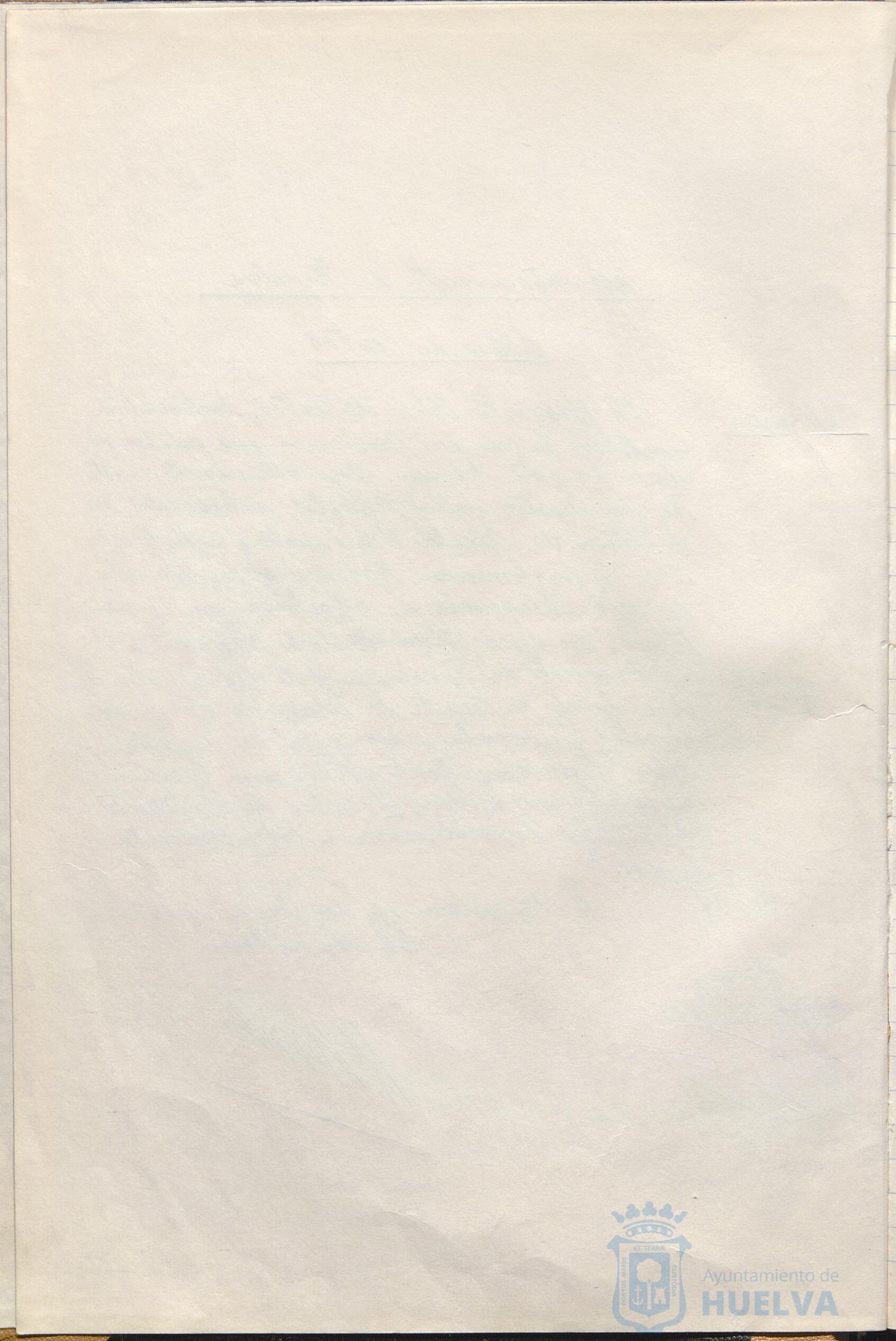 * Image 7