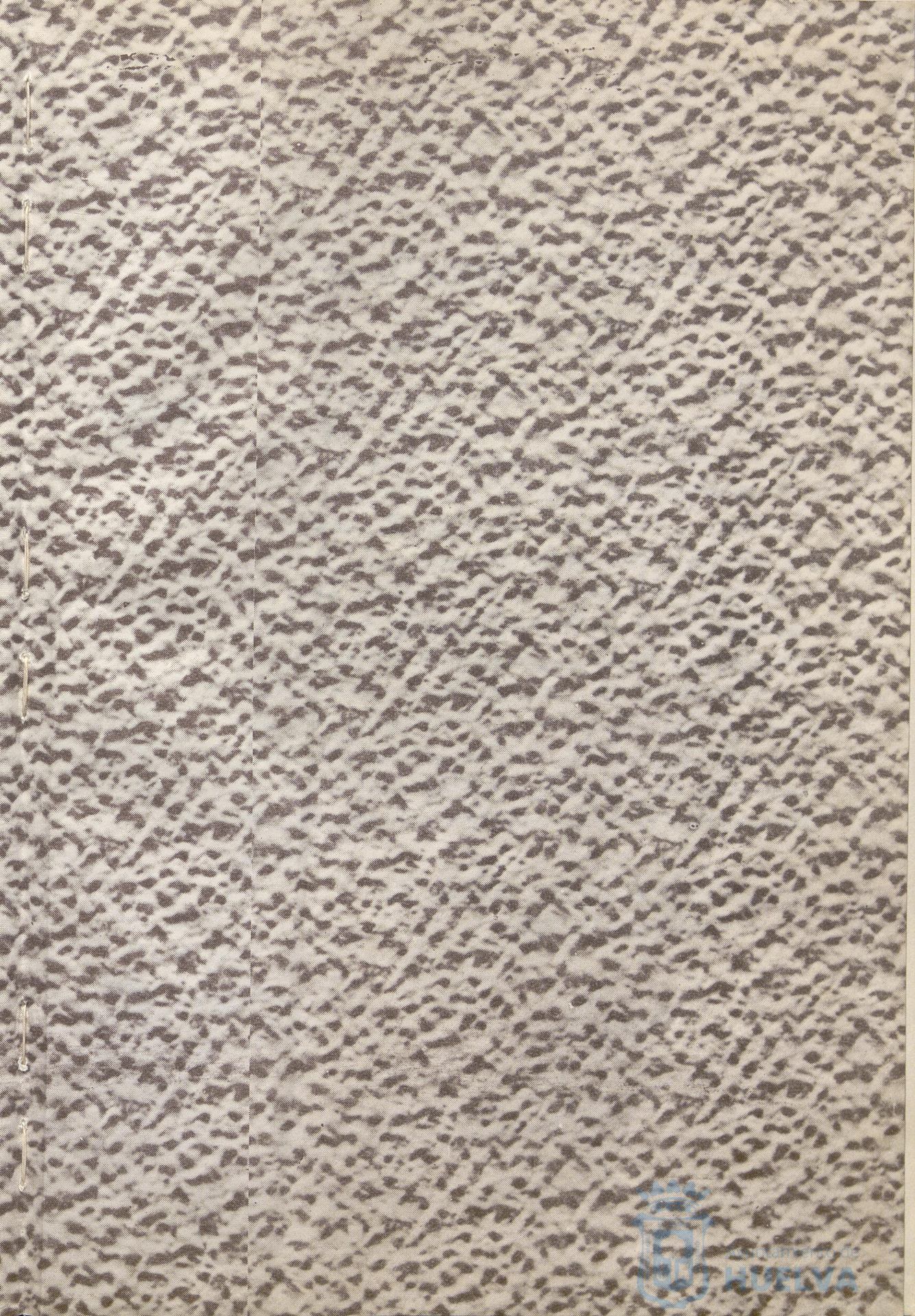 * Image 4