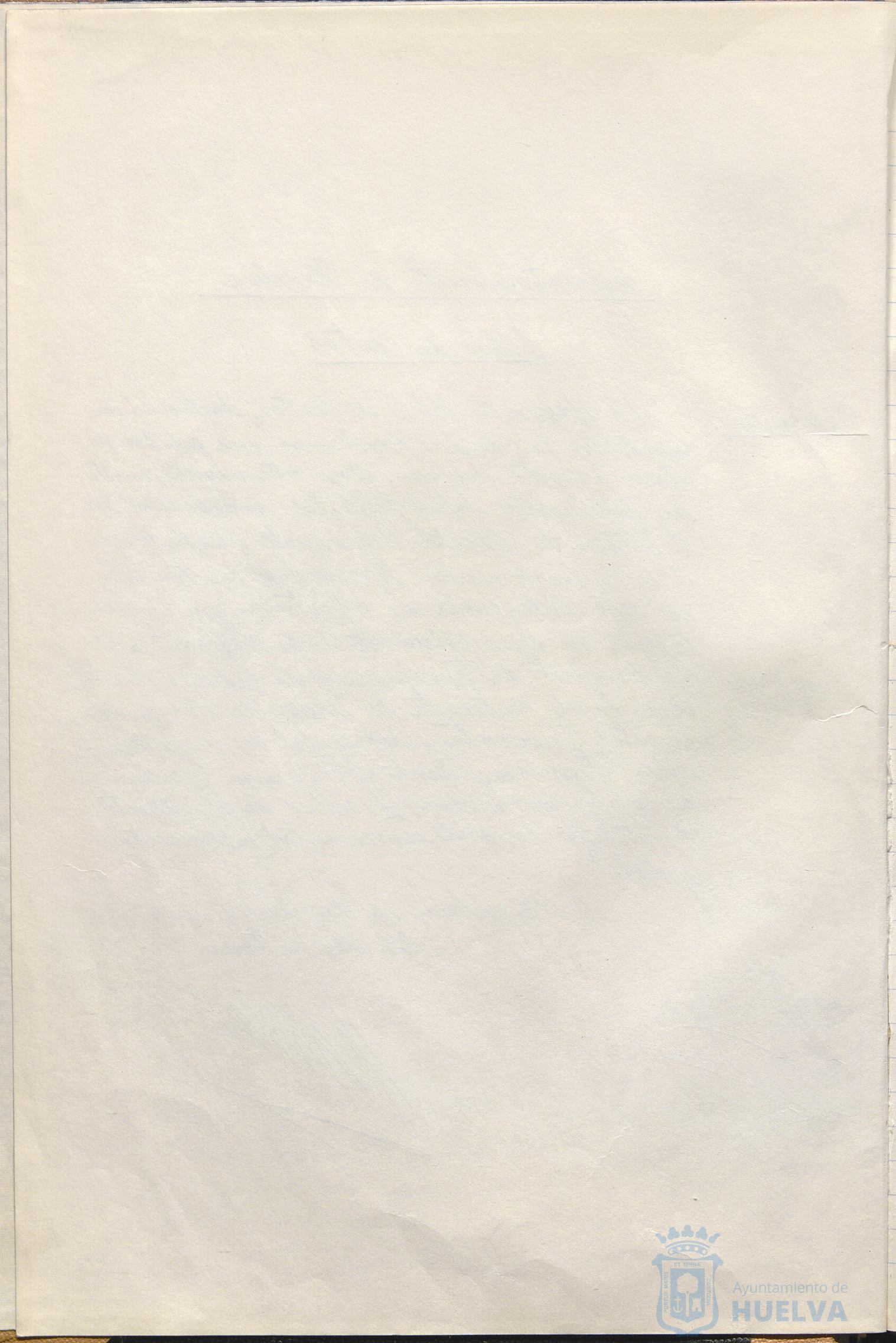* Image 7