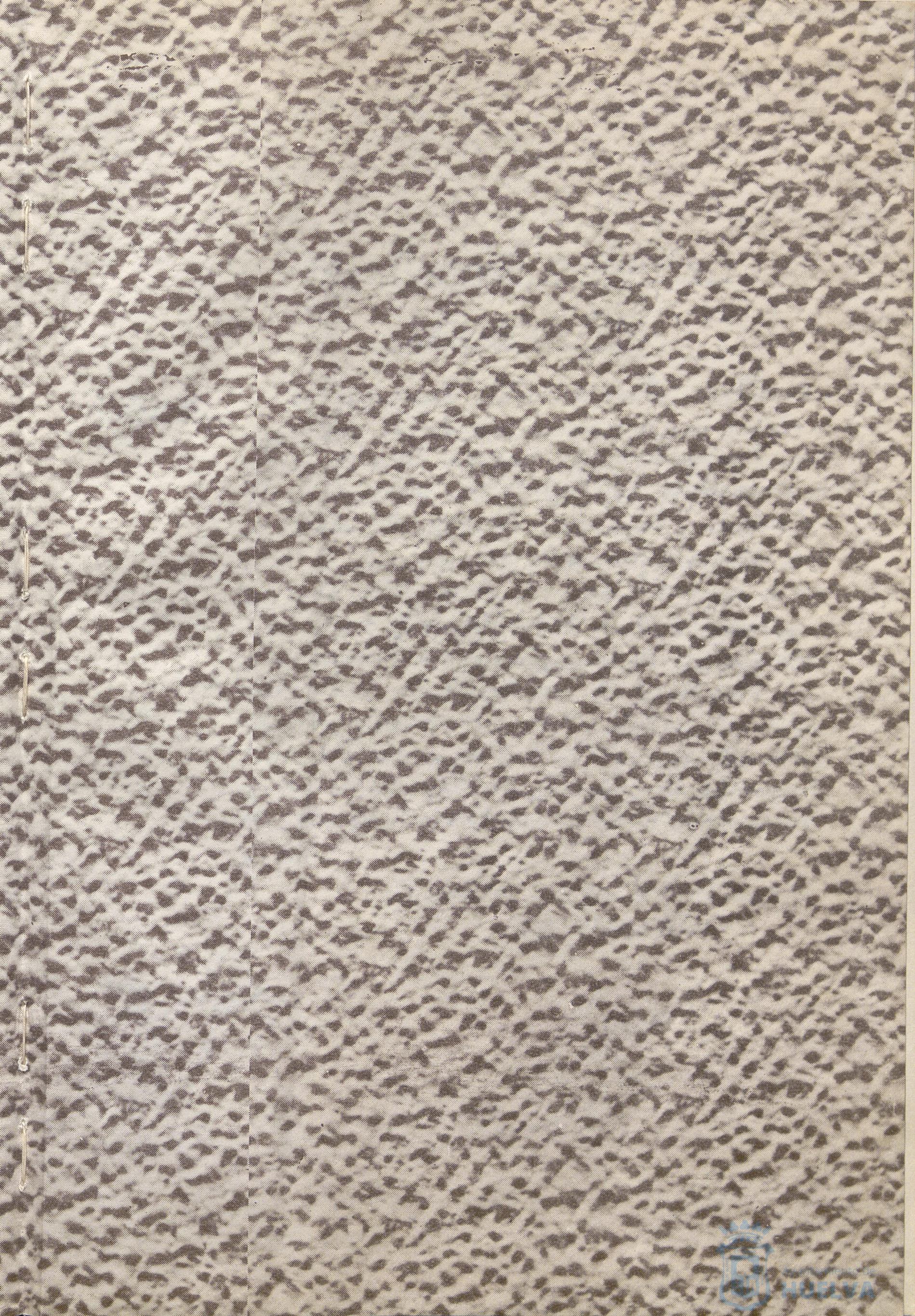 * Image 4