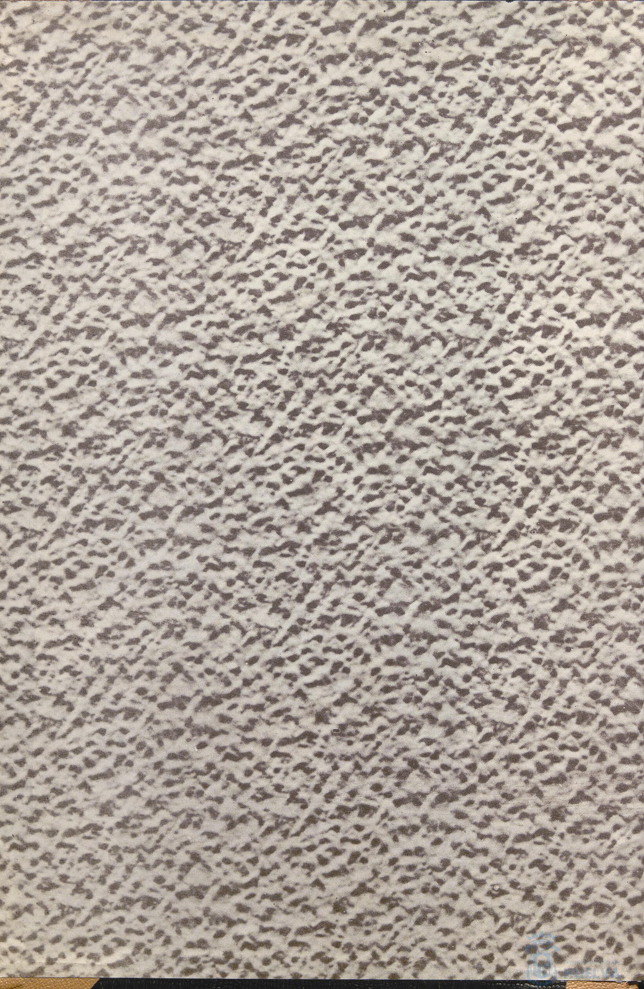 * Image 3