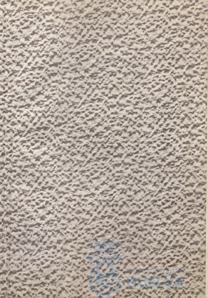 * Image 4