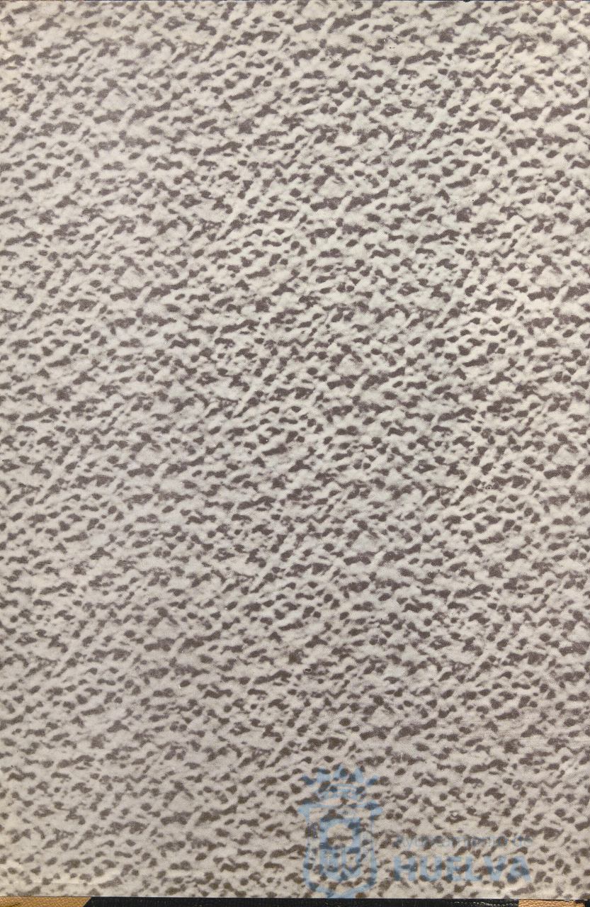 * Image 3