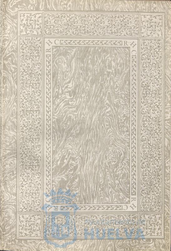 * Image 4
